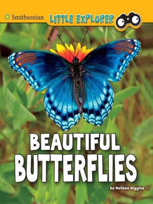 cover image of Beautiful Butterflies